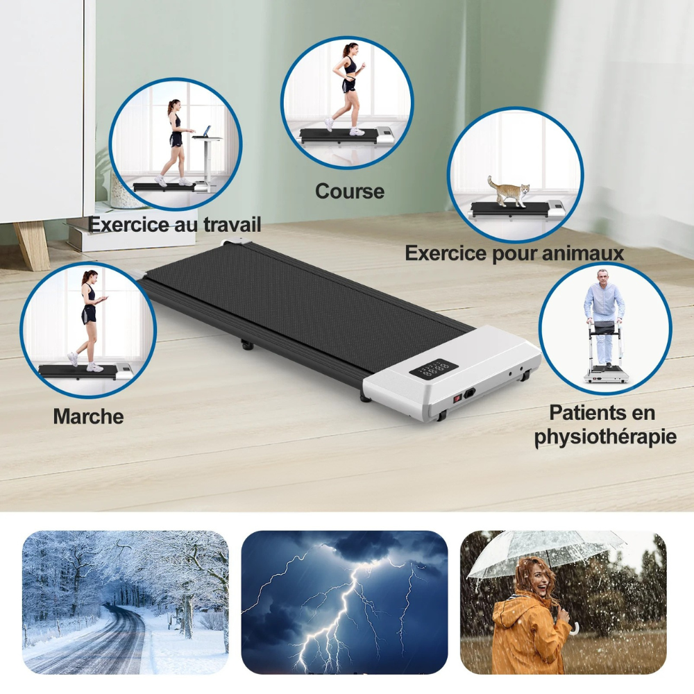 programme tapis de marche pour perdre du poids